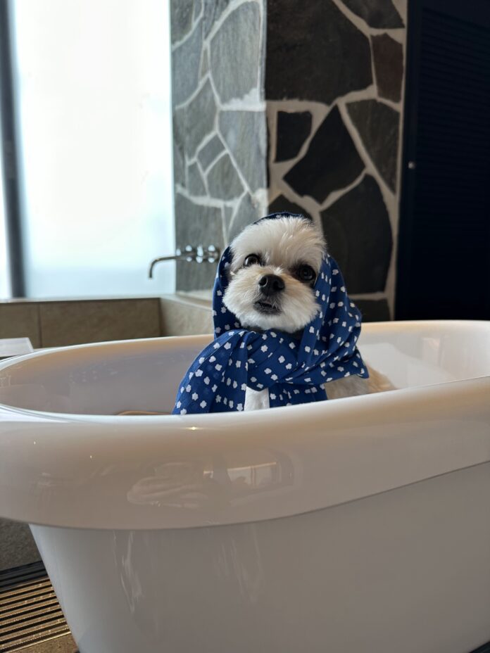 愛犬と泊まれる「みかわ温泉海遊亭（愛知県）」が、人気の露天風呂付客室を愛犬同伴可能にリニューアルのメイン画像