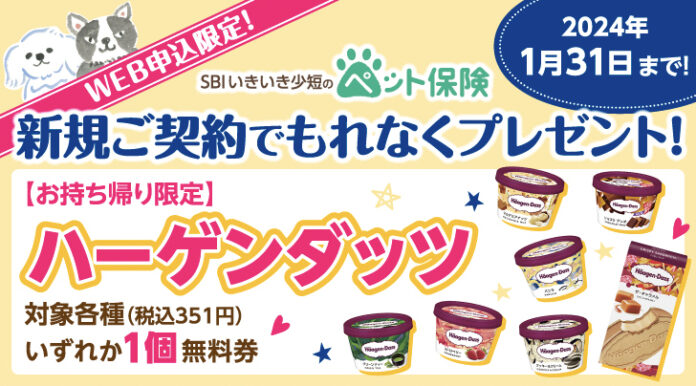 【SBIいきいき少短】ペット保険のWEB申込で「ハーゲンダッツ」をプレゼント！のメイン画像