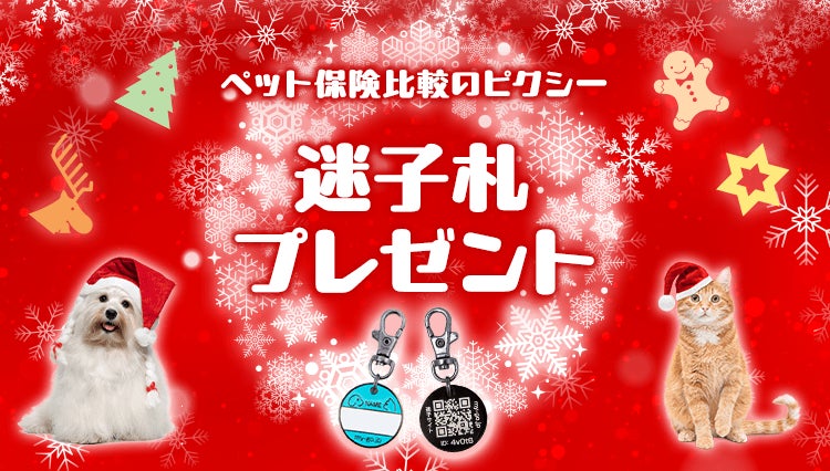 クリスマスプレゼントを『ペット保険比較のピクシー』から！対象保険会社のご成約で迷子札が全員もらえる！のサブ画像1