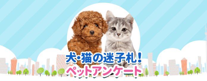 犬猫の迷子札事情を調査！対象者様全員に迷子札プレゼントキャンペーン実施中のメイン画像