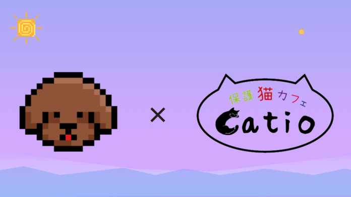 【新規店舗導入】リアル店舗でのゲーミフィケーションや支援サービスを備えた「LOOTaDOG QR」が新たに『保護猫カフェCatio』に導入されたことをお知らせいたします。のメイン画像