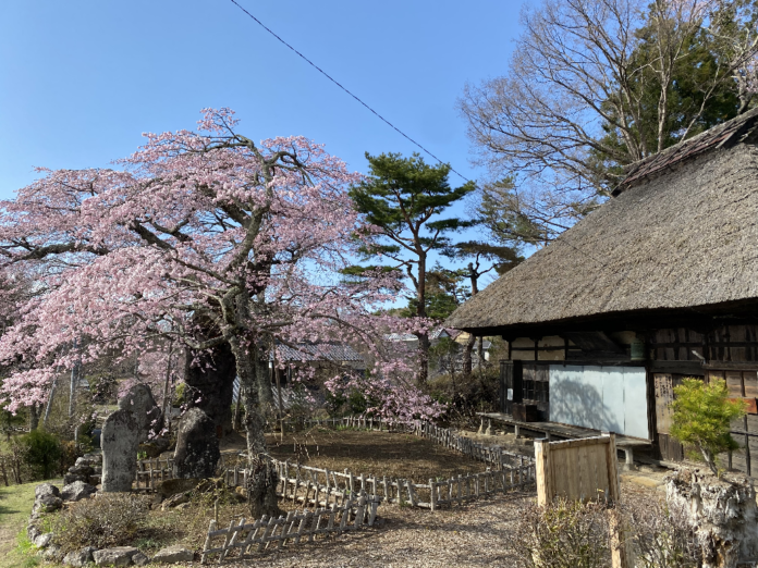 長野県富士見町『信州ふじみおひさんぽ2024－2025』ウォーキングガイドツアーの開催が決定しました！地元おもてなしガイドと歩くイベントツアー１回目は5月25日（土）開催のメイン画像