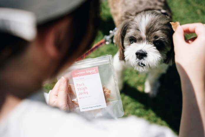動物と人の共生社会を目指して企画される「伊豆高原ワンケーション」に協賛しますのメイン画像
