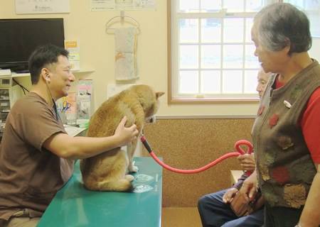 能登半島地震　復興プロジェクト　ななお動物病院/ペットと入れる高齢者施設　再建を目指し、クラウドファンディングを開始。のサブ画像3