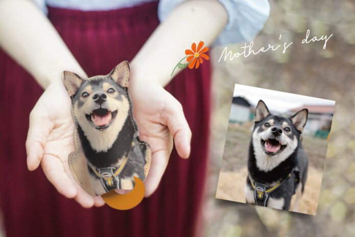 犬好きのお母さんに贈りたい。愛犬の写真でつくる、世界でひとつだけの本革キーケース。母の日早割1000円オフキャンペーンを4/1〜15日まで開始。のメイン画像