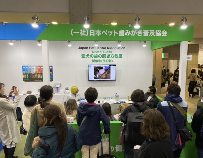 インターペットで、獣医師、ドッグトレーナー、歯科衛生士による愛犬参加型の歯磨き教室を毎日開催。愛犬の3歳の子の約80％が歯周病予備軍の中、コロナ禍でしつけが出来ず歯磨きが出来ない飼い主様を応援しますのメイン画像