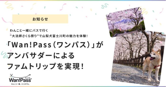 「Wan!Pass（ワンパス）」がアンバサダーによるファムトリップ※を実現！わんこと一緒にバスで行く”大法師さくら祭り”で富士川町の魅力を体験〜参加者の100％が「もう一度訪れたい」と回答〜のメイン画像