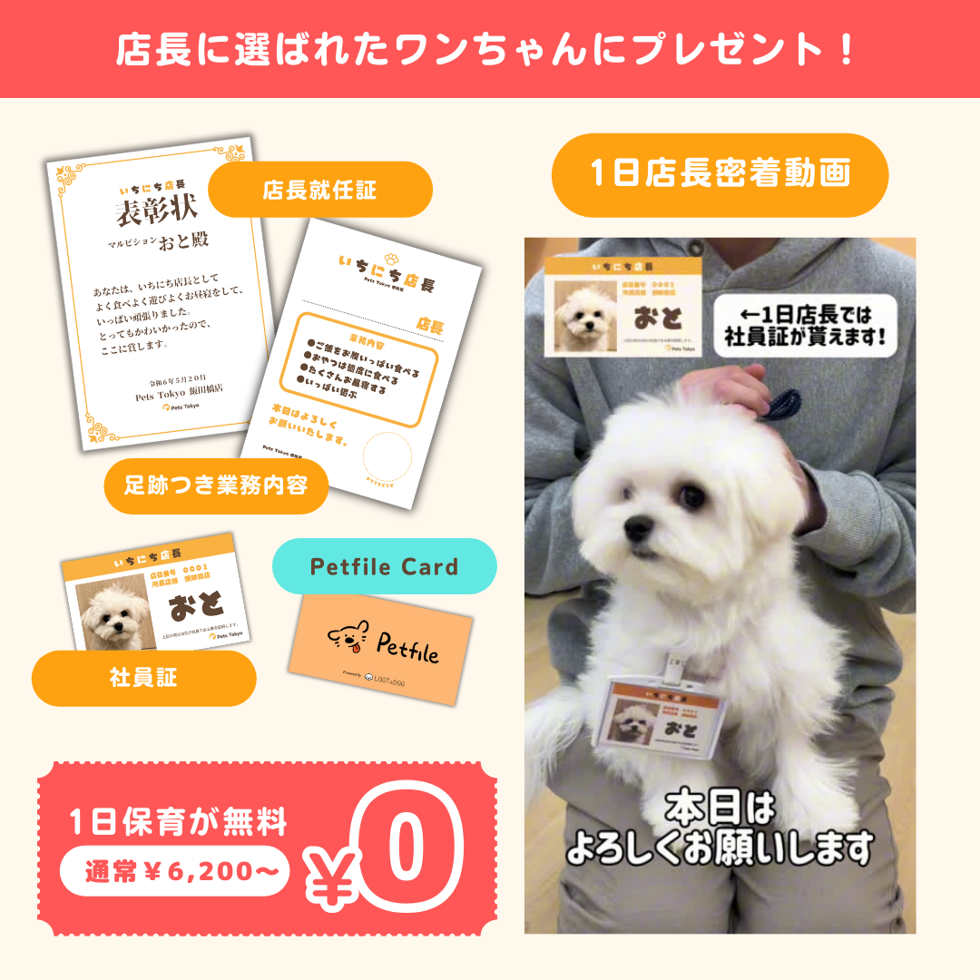 【LOOTaDOG × Pets Tokyo】都内複数店舗を展開するペットサロン「Pets Tokyo」と1日店長募集キャンペーンを共同開催することお知らせいたしますのサブ画像3