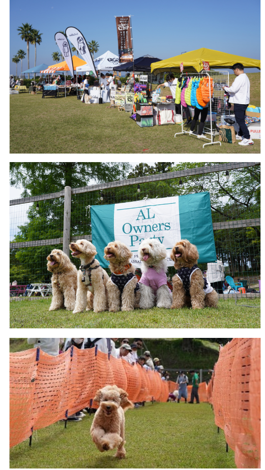 5月13日は愛犬の日。穏やかで賢く、抜け毛が少ないセラピー犬 「オーストラリアン・ラブラドゥードル」に特化したイベントを開催のサブ画像2_2023年実施のAL Owners Party