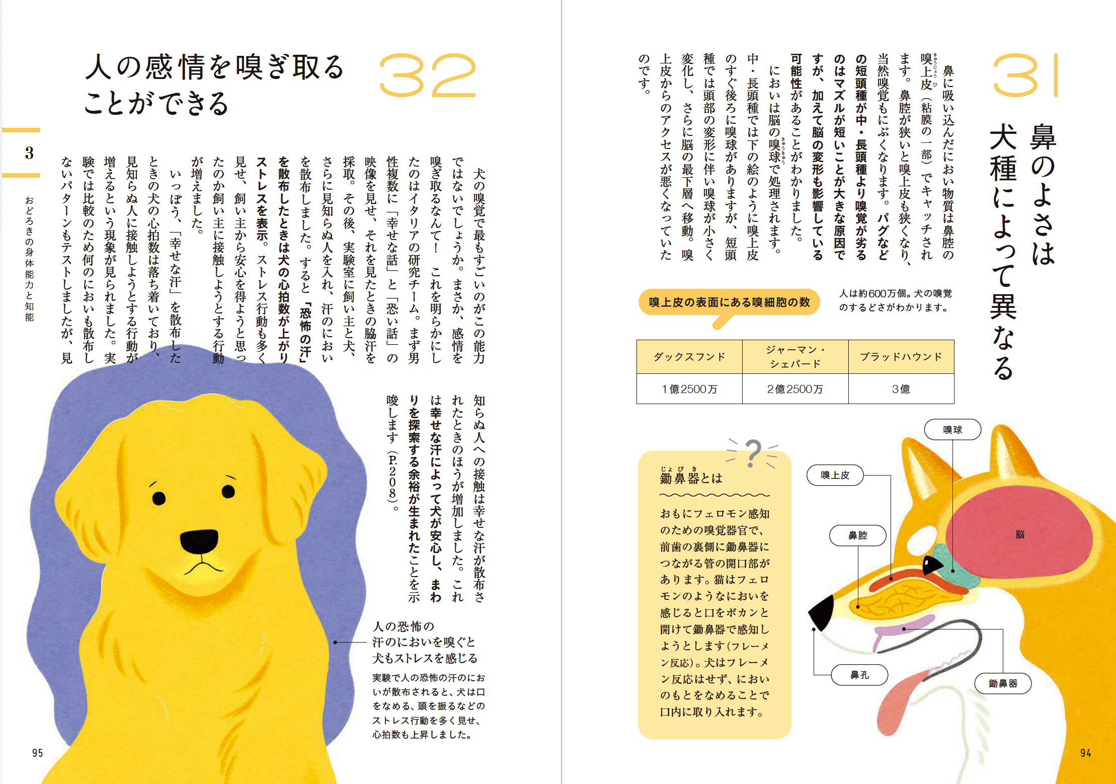 「科学×歴史×文化」で学ぶ犬のすべてーー『教養としての犬　思わず人に話したくなる犬知識130』５月21日発売のサブ画像3