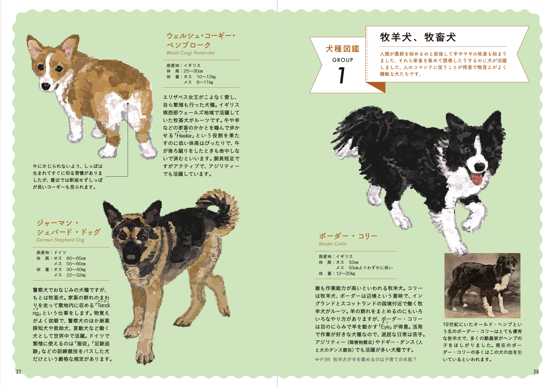 「科学×歴史×文化」で学ぶ犬のすべてーー『教養としての犬　思わず人に話したくなる犬知識130』５月21日発売のサブ画像5