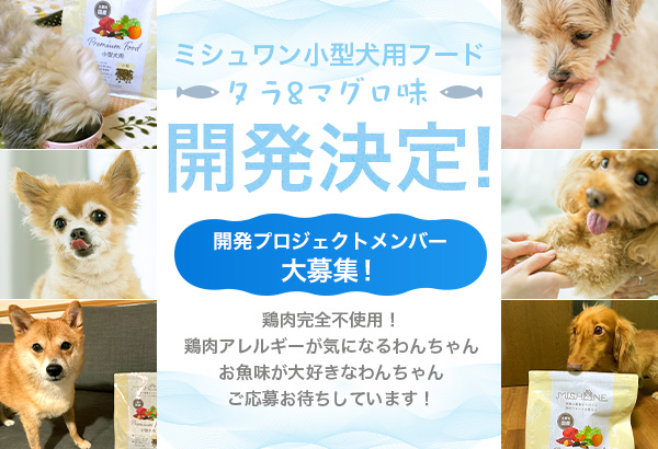 ミシュワンがアレルギーを考慮した「小型犬用ミシュワン”お魚味”」の開発を開始！開発協力モニター犬を募集！のサブ画像1