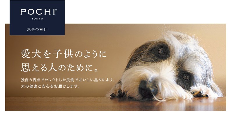 「POCHI 環境月間」犬・人・環境に優しい商品をプレゼントのサブ画像10