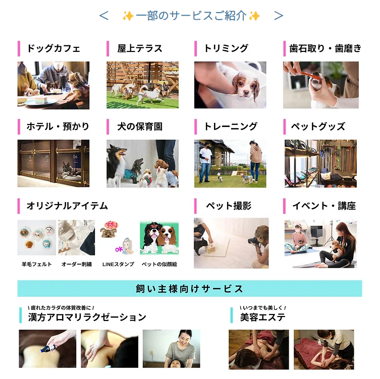 【新規店舗導入】リアル店舗でのゲーミフィケーションや支援サービスを備えた「LOOTaDOG QR」が新たに『PEANUTS CLUB』に導入されたことをお知らせいたします。のサブ画像7