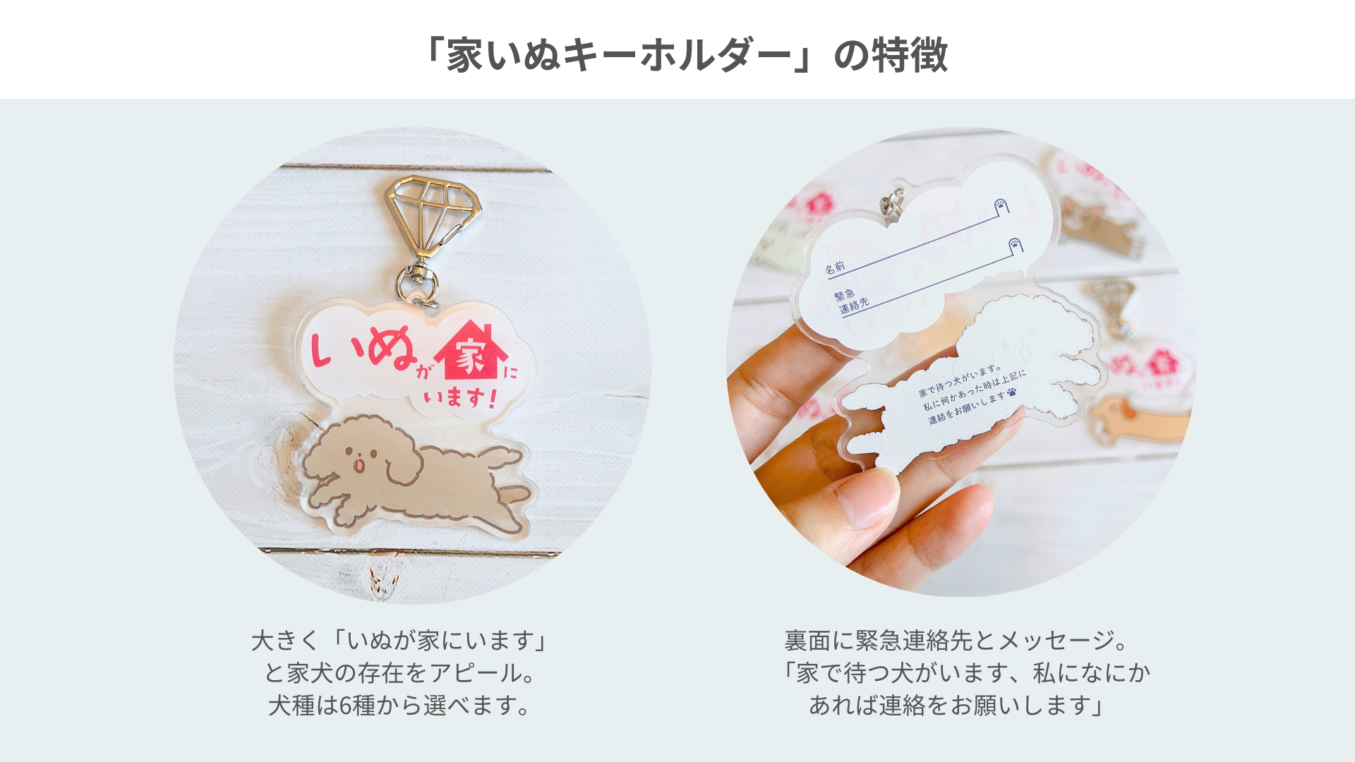 デザフェスで人気！ペット防災キーホルダーが6月6日よりついに一般販売開始。愛犬の存在をかわいく周知できるグッズのサブ画像3
