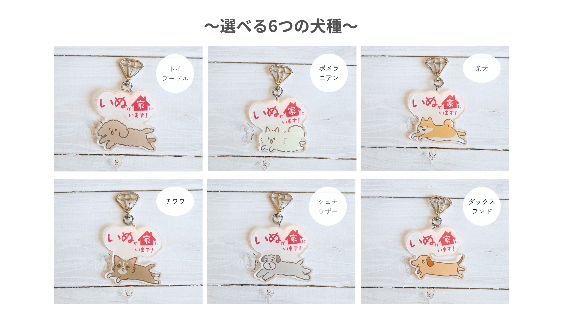 デザフェスで人気！ペット防災キーホルダーが6月6日よりついに一般販売開始。愛犬の存在をかわいく周知できるグッズのサブ画像4
