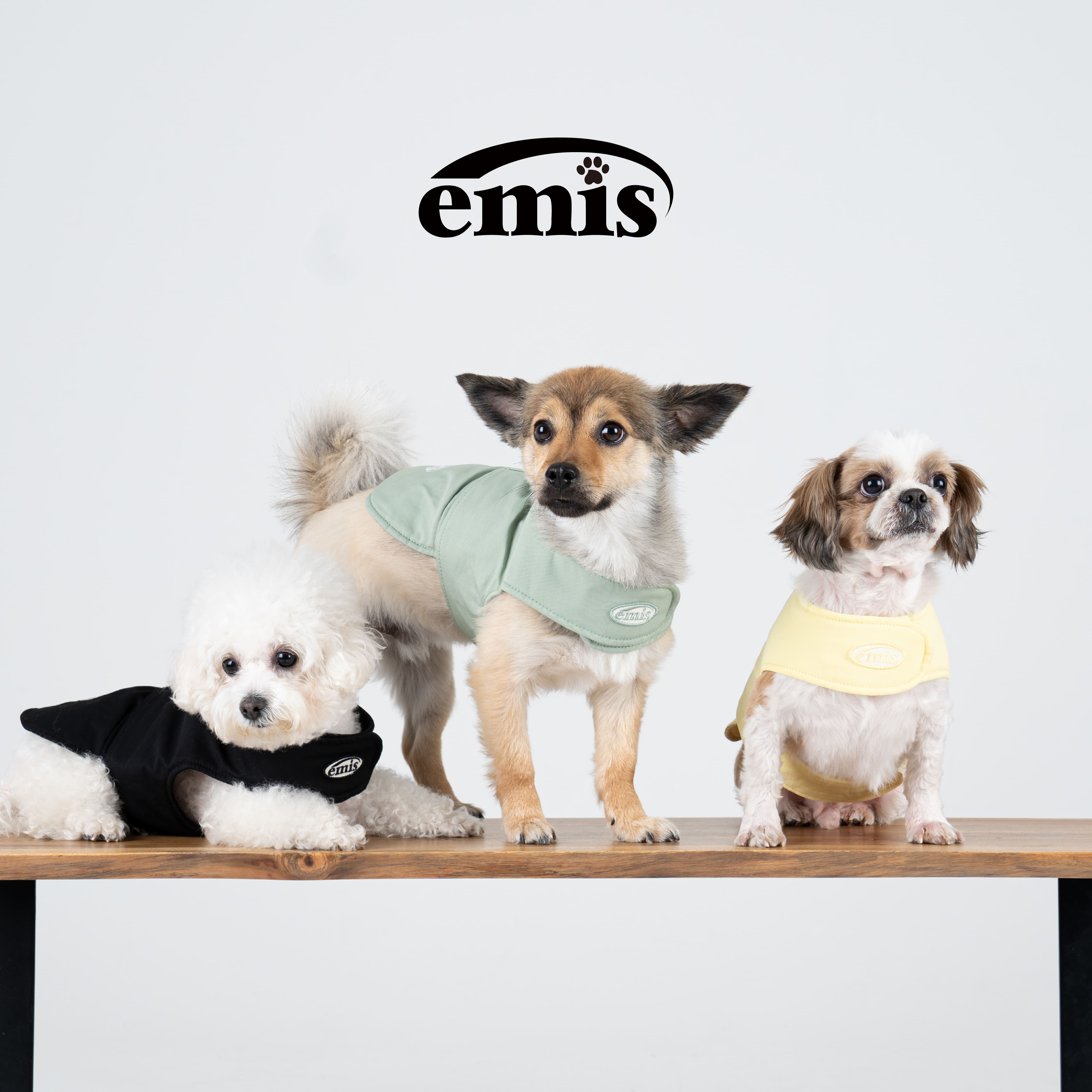 【日本初上陸！】韓国の人気ブランド「emis」がペットアイテムを日本市場に！「emis pet」が表参道ヒルズで4日から販売開始！のサブ画像10
