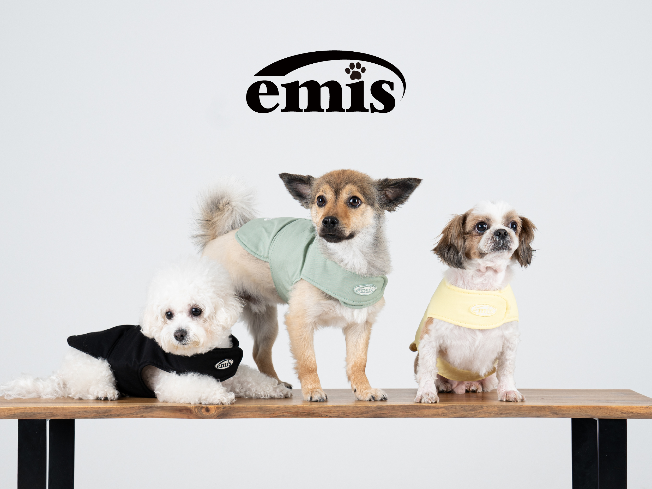 【日本初上陸！】韓国の人気ブランド「emis」がペットアイテムを日本市場に！「emis pet」が表参道ヒルズで4日から販売開始！のサブ画像3