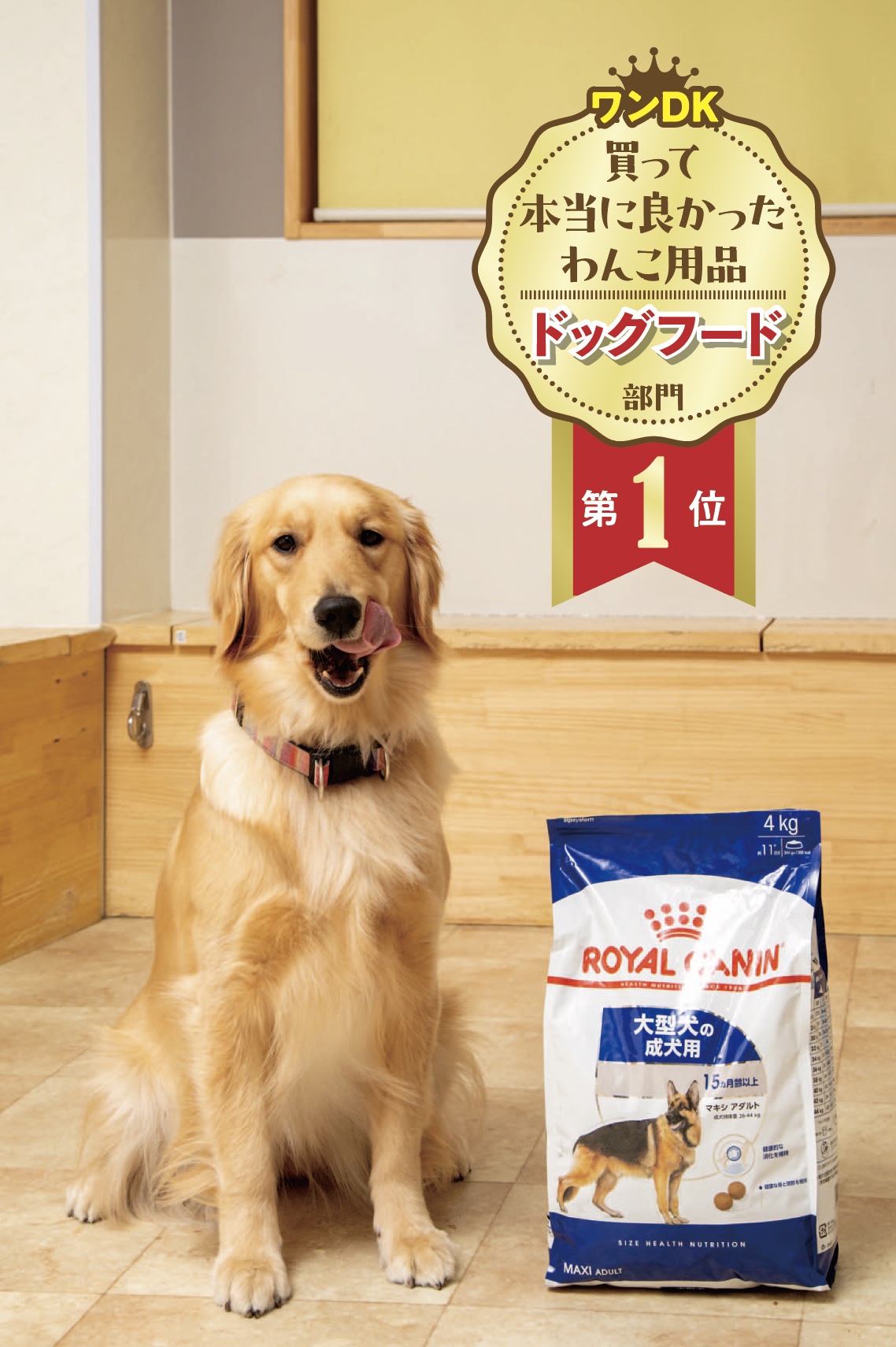 【ワンDKデラックス】愛犬との暮らしを豊かにするグッズが大集合！ドッグフードやペットシーツなど製品を徹底検証しました!!のサブ画像3