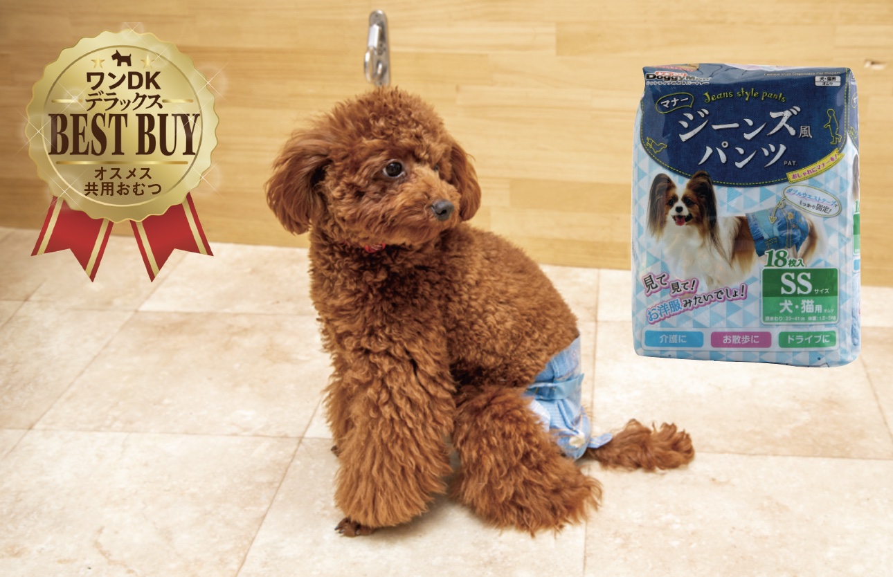 【ワンDKデラックス】愛犬との暮らしを豊かにするグッズが大集合！ドッグフードやペットシーツなど製品を徹底検証しました!!のサブ画像7