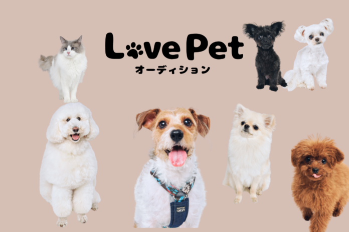 【大切なペットと雑誌に載れる夢のチャンス！】「Love Pet オーディション」開催決定！のメイン画像