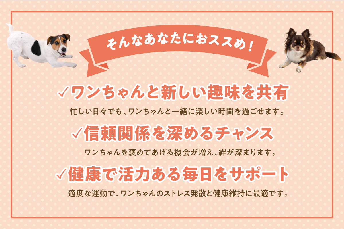 【ドギーパレス芦屋店】ドッグダンス体験レッスン・モニター生大募集！のサブ画像4