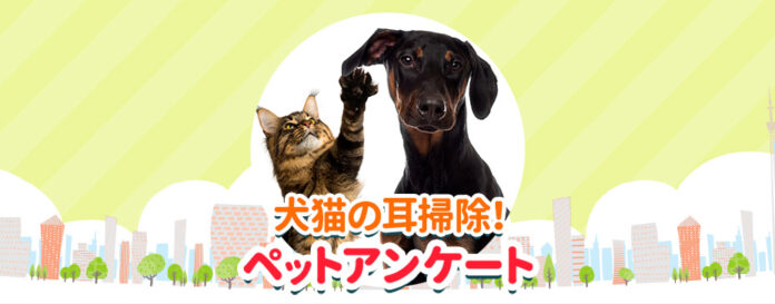 犬や猫の耳掃除ってどうしてる？頻度やお手入れグッズを調査！『ペット保険比較のピクシー』のメイン画像
