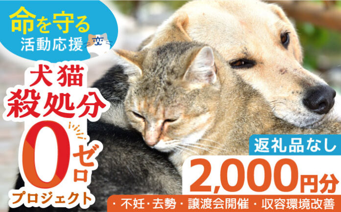 「犬猫殺処分ゼロプロジェクト」の寄附受付を長崎県ふるさと納税で開始しました。のメイン画像