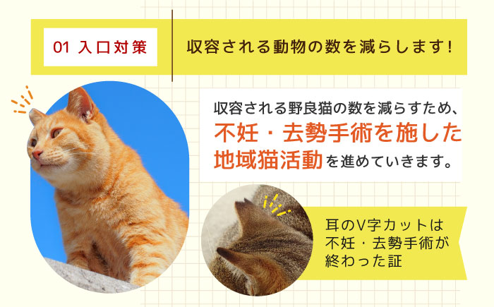 「犬猫殺処分ゼロプロジェクト」の寄附受付を長崎県ふるさと納税で開始しました。のサブ画像3