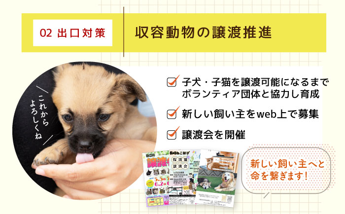 「犬猫殺処分ゼロプロジェクト」の寄附受付を長崎県ふるさと納税で開始しました。のサブ画像4