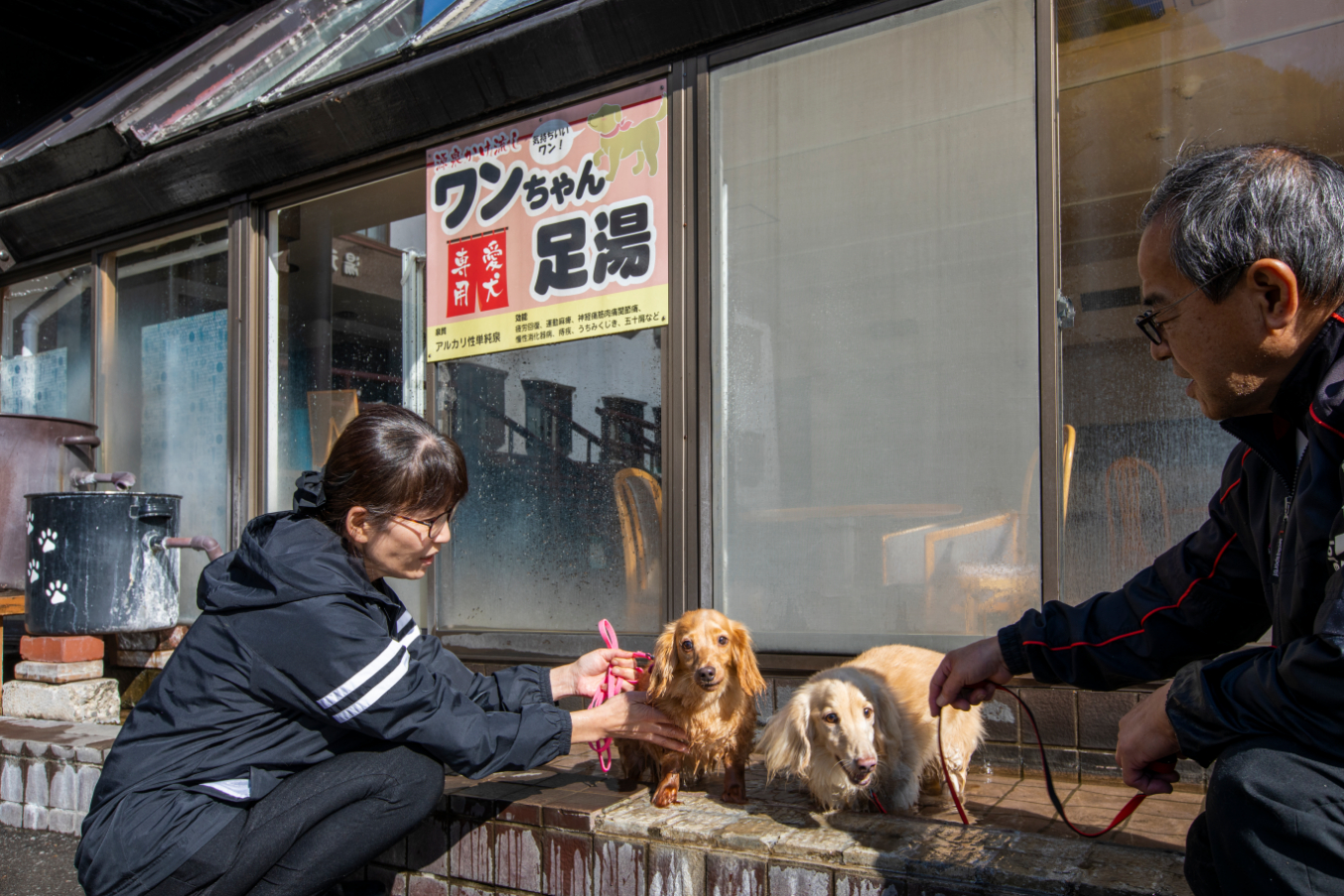 ホロホロ山荘はわんちゃん歓迎の宿！～わんちゃん用足湯看板がリニューアル～/北海道伊達市北湯沢温泉のサブ画像1_旧看板