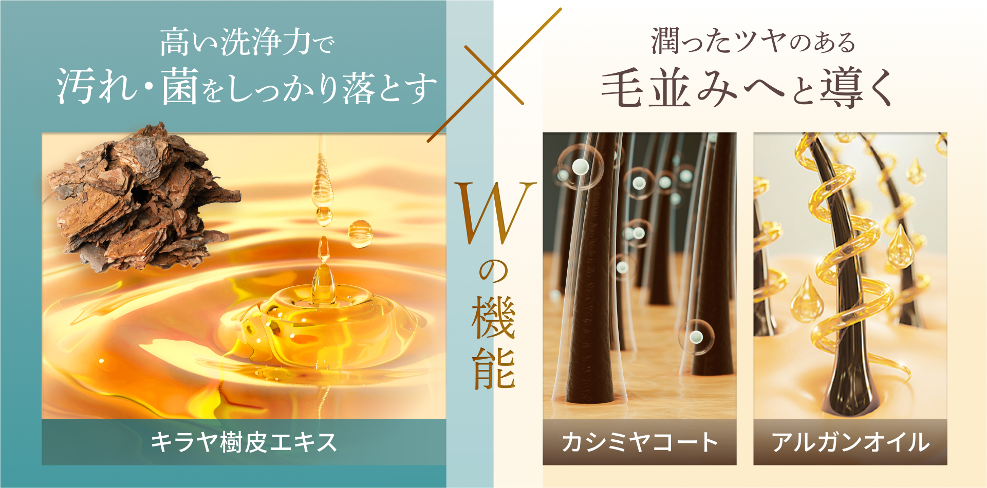 【INOPET】お水を使わず簡単に被毛ケア「Drycare Shampoo／ドライケア シャンプー」を新発売のサブ画像3