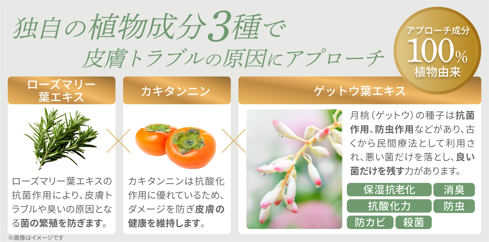 【INOPET】お水を使わず簡単に被毛ケア「Drycare Shampoo／ドライケア シャンプー」を新発売のサブ画像4