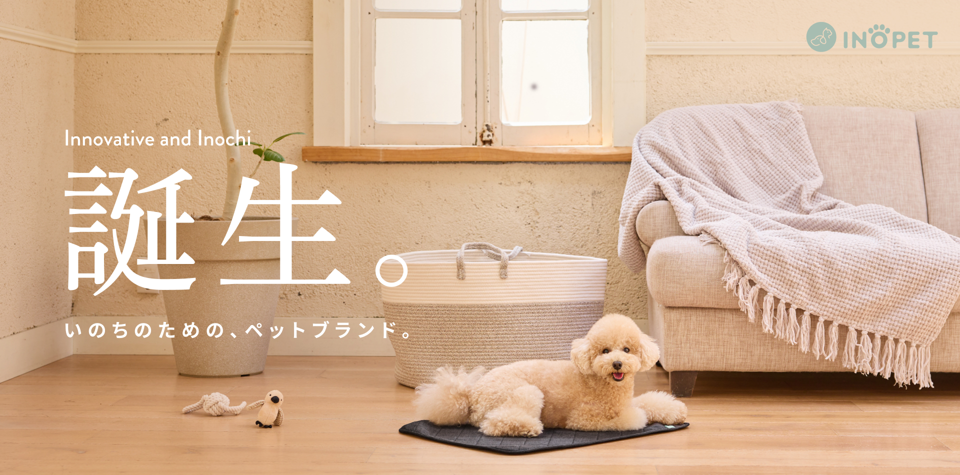 【INOPET】吸水力1.5Lの「ペットタオル」と、リバーシブル仕様で年中使える「ペットマット」の２商品を新発売のサブ画像1