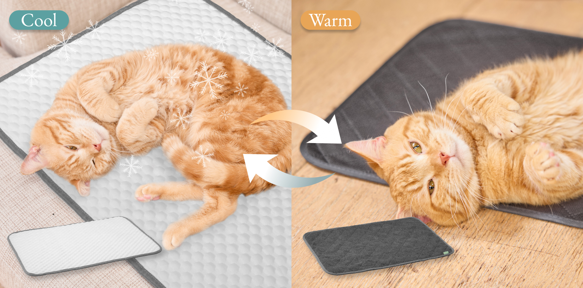 【INOPET】吸水力1.5Lの「ペットタオル」と、リバーシブル仕様で年中使える「ペットマット」の２商品を新発売のサブ画像5