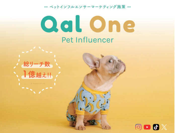 総リーチ数1億越え＆高エンゲージメント率の　　　　　　　　　　　ペットインフルエンサーマーケティング施策　「QAL ONE」の提供を開始のメイン画像