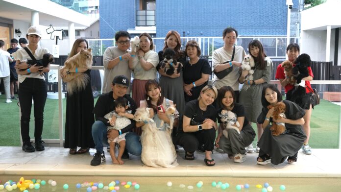 大盛況！『ペトナビ』主催「わんちゃんナイトプールイベント」に21匹のわんちゃんが大集合！のメイン画像