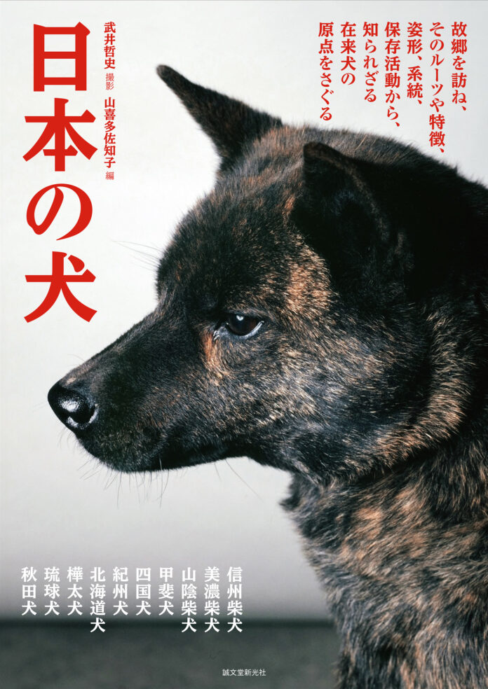柴犬、北海道犬、秋田犬、甲斐犬、四国犬、紀州犬、琉球犬…日本原産の犬種の各々の産地を訪ね、本来の姿や名犬などを掲載した決定版のメイン画像
