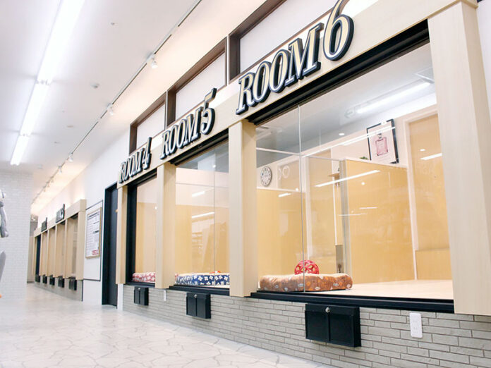 2024年10月19日（土）関西圏初 大型犬専門店「おっきなもふもふ応援隊 大阪総本店」茨木市にオープンのメイン画像