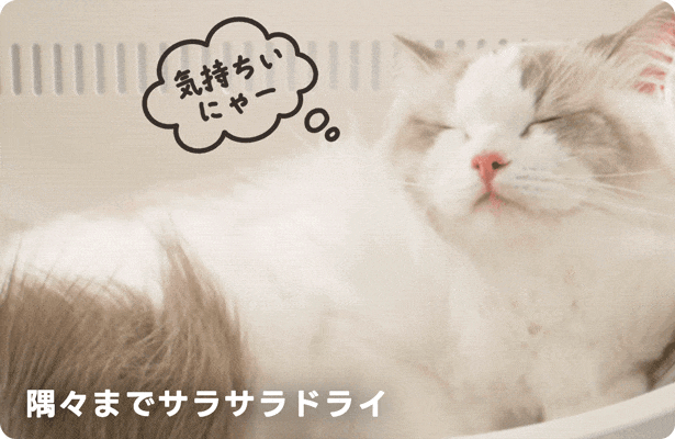 癒しの風で包む幸せドライ体験！PetSnowy「SMILEペットドライヤーハウス」 が「Makuake」にて日本初登場のサブ画像2