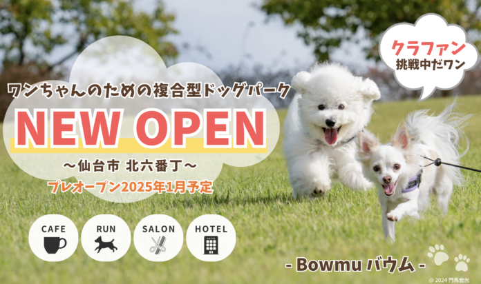 【東北・仙台初！】ビル一棟を活用した複合型ドッグパーク「Bowmu- バウム」が2025年1月プレOPEN！のメイン画像