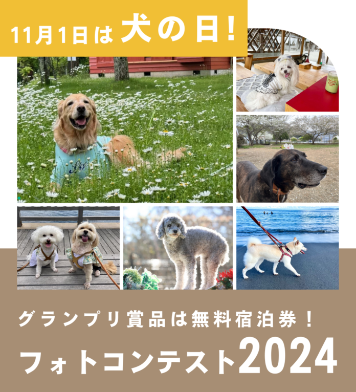 【11月1日は犬の日】休日いぬ部フォトコンテストを開催！グランプリに無料宿泊券のメイン画像