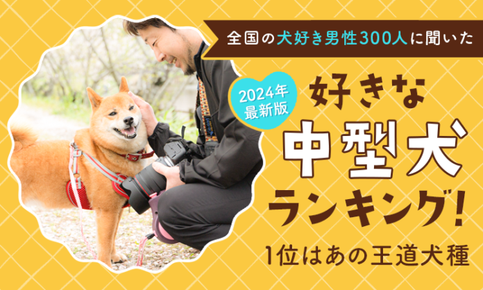 【2024年最新版：全国の犬好き男性300人に聞いた】好きな中型犬ランキング！1位はあの王道犬種のメイン画像