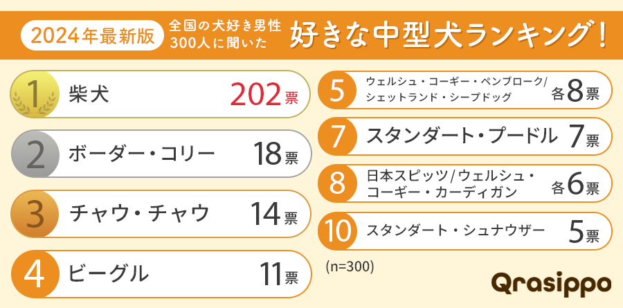 【2024年最新版：全国の犬好き男性300人に聞いた】好きな中型犬ランキング！1位はあの王道犬種のサブ画像2
