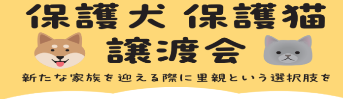 保護犬・保護猫の譲渡活動が拡大中！愛知県の綿半店舗にて譲渡会を開催！のメイン画像