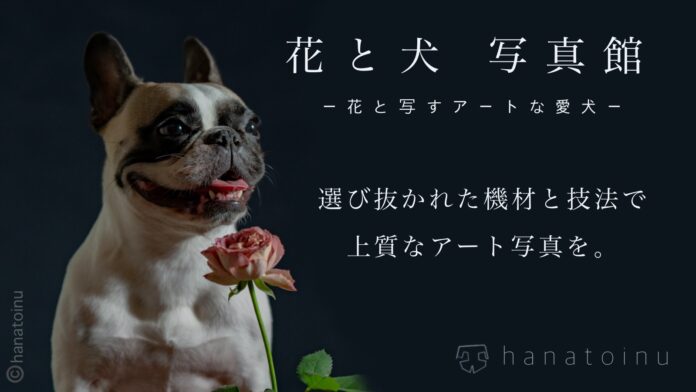 「花と犬」写真館！9月27日（金）12:00応援購入サービスmakuakeにて先行予約スタート！のメイン画像