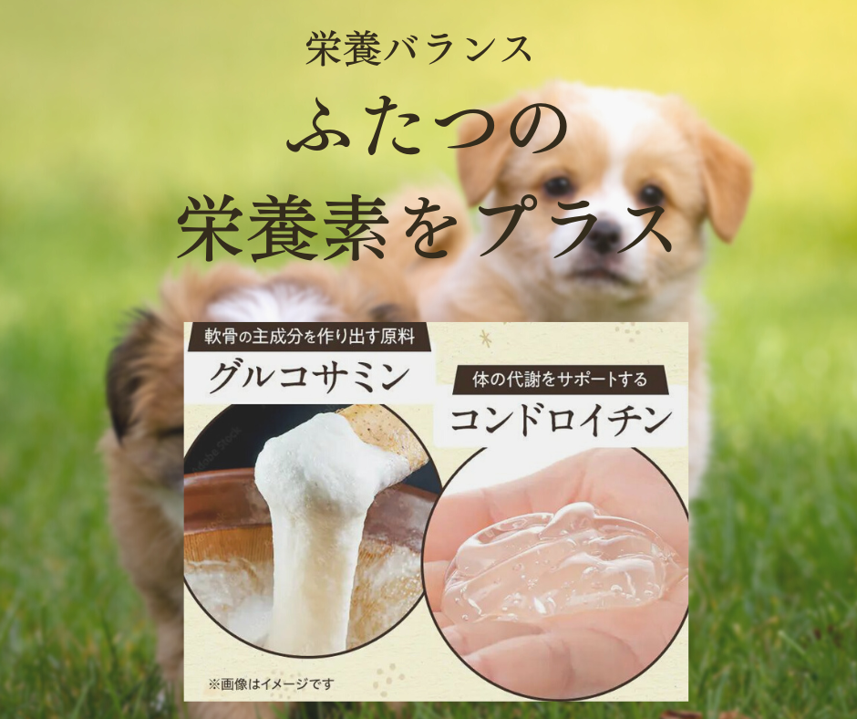 【うまかドッグフードCM放送記念キャンペーン】大好評につき期間延長！のサブ画像3