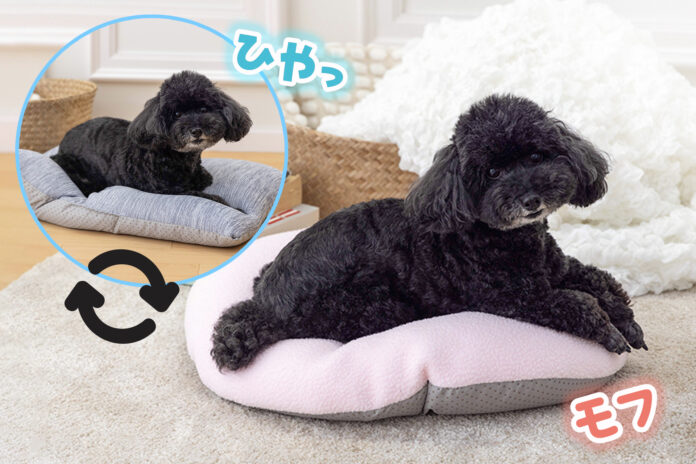 犬用の年中使える2wayリバーシブルベッド発売！のメイン画像