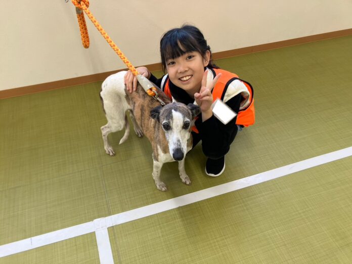 【11/2出発】 救助犬トレーナー体験スクールのメイン画像