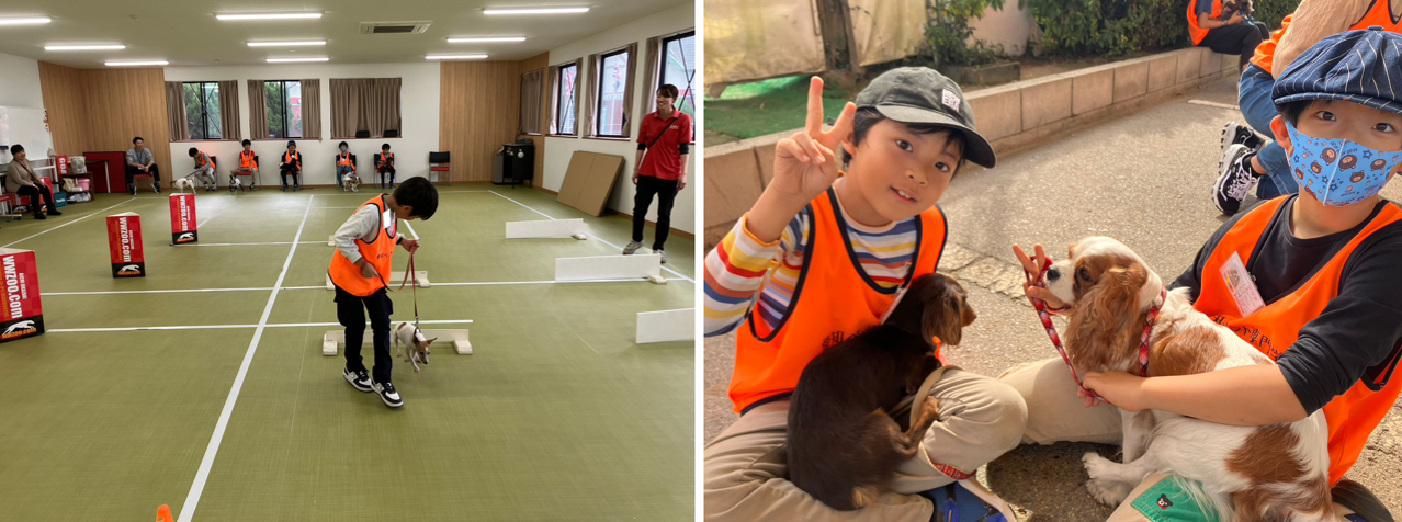 【11/2出発】 救助犬トレーナー体験スクールのサブ画像2